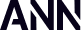 MR INGENUITY IT CONSULTING FIRM