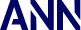 MR INGENUITY IT CONSULTING FIRM